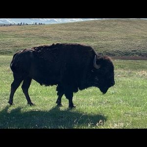 Meet your Posher, Scott